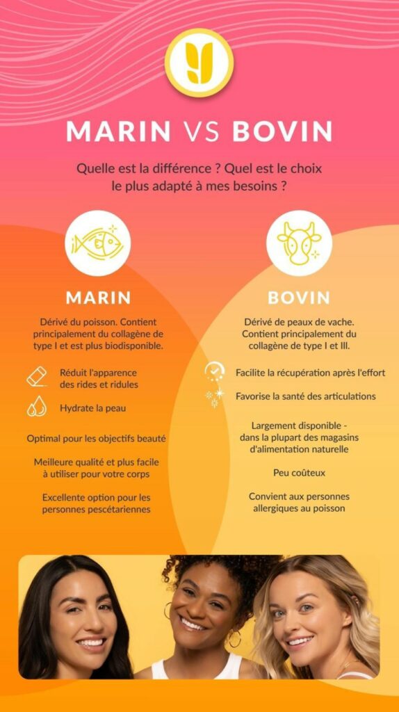 Daily-You Collagène Marin vs Bovin