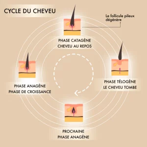 NOOANCE_-_Cycle_du_cheveu